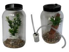 Brand New Shape Praying