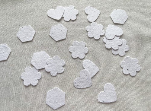 Seed paper shapes - seed,