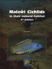 Malawi Cichlids in their