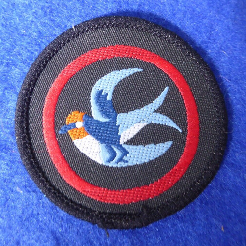 Vintage girl guide patrol - vintage,