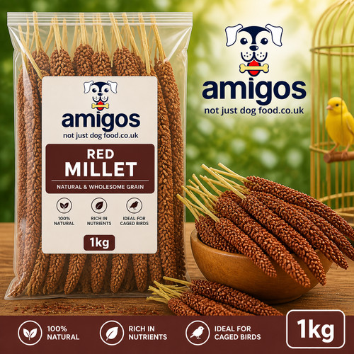 1kg red millet spray seeds - red, –