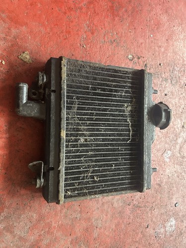 Honda ns125r radiator rad - honda,