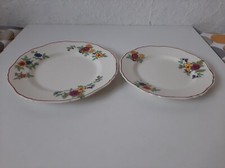 Vintage Corona Ware Floral 2 x