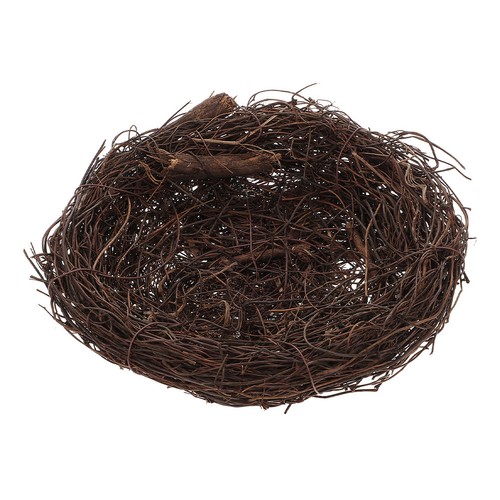 Bird dove pigeon nest - bird,
