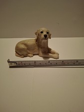 Yellow Labrador Puppy Lying
