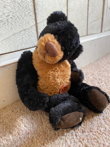Artist bear belly - -,