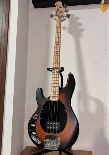 Sterling music man stingray - sterling,