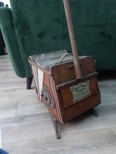 Early 20th century baby daisy - century,
