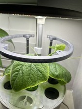 AeroGarden Harvest 360 Trellis