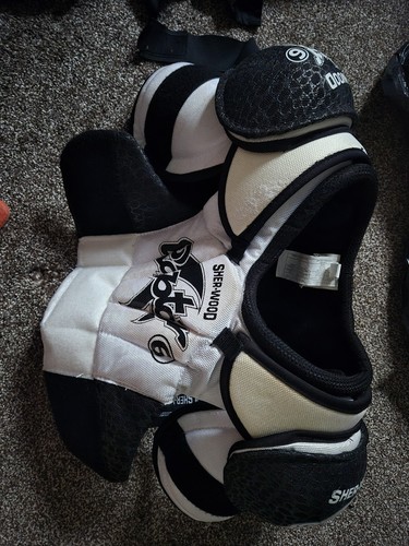 Sherwood raptor ice hockey - sherwood,