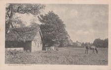 Surrey Postcard - Worcester