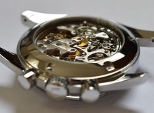 OMEGA Skeleton back cover for