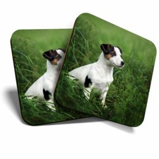 Coasters jack russell - 2,