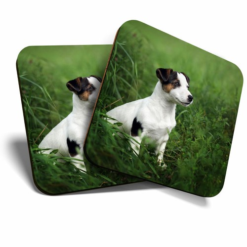 Coasters jack russell - x,