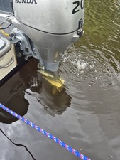 Honda Bf20 Long Shaft Outboard Motor 20hp 4 Stroke Engine Outboard