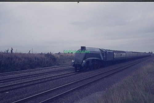 S175 35mm slide lner 4498 - 35mm,
