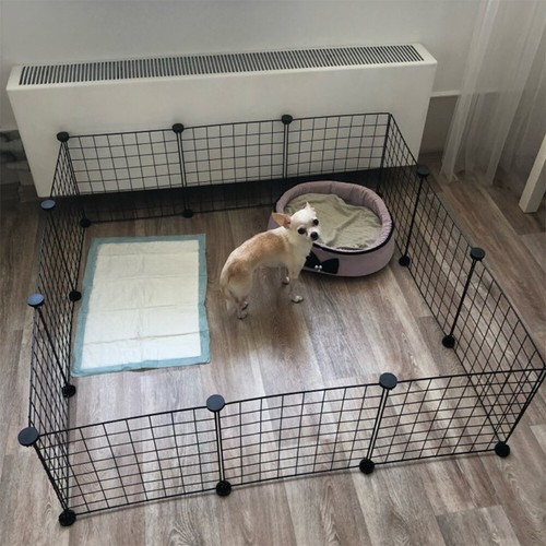 Panel dog puppy - 12,