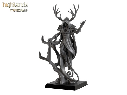 Feral elf druid forest - elf,