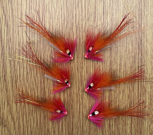 Orange pink shrimp - orange,