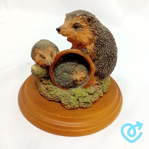 Views nature hedgehog - views, of