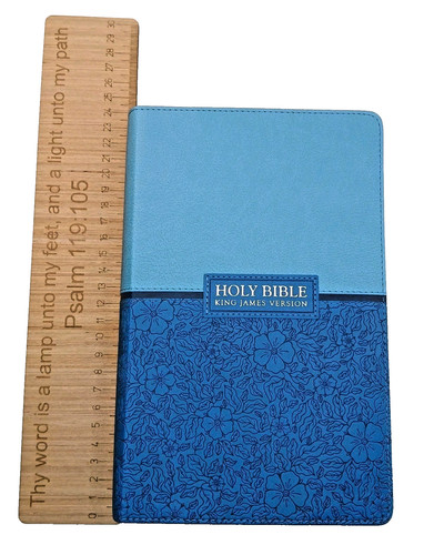 Kjv giant print bible - kjv,