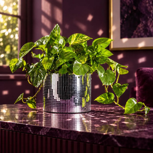 Disco ball planter - disco, mirror