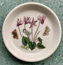 Portmeirion Botanic Garden