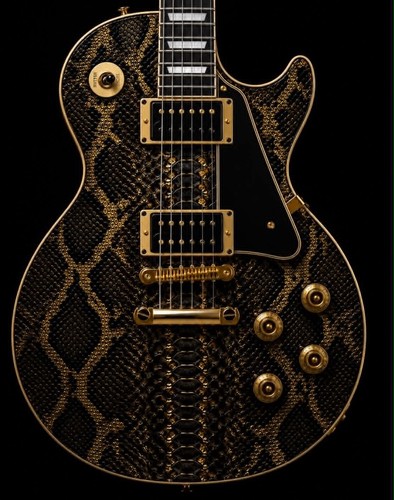 Guitar skin made order - guitar,