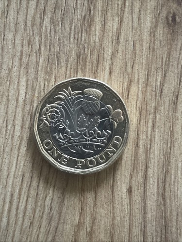 2020 one pound coin rare - one,