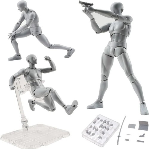 Male female drawing mannequin - male,