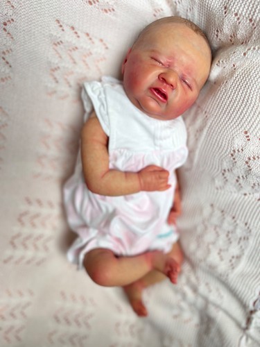 Artist painted weighted reborn - artist,