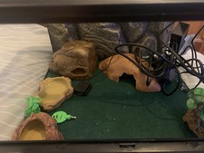 Exo Terra Glass Terrarium Small Medium Large Snake Reptile Enclosure Vivarium