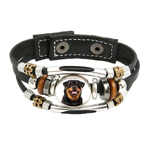 Rottweiler dog pet family - dog,