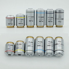 4X 10X 20X 40X 60X 100X