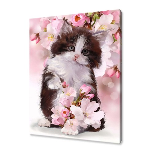 Cute ragdoll kitten wall - wall, art