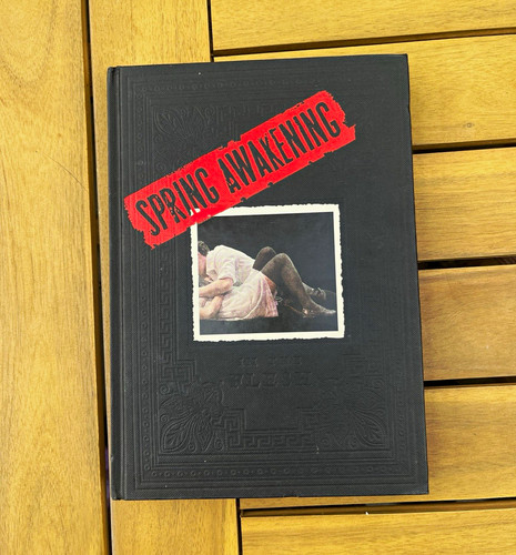 Spring awakening the - spring, awakening: