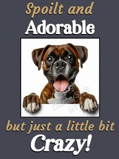 Boxer Dog Brindle Funny