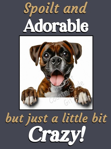 Boxer dog brindle funny - brindle,