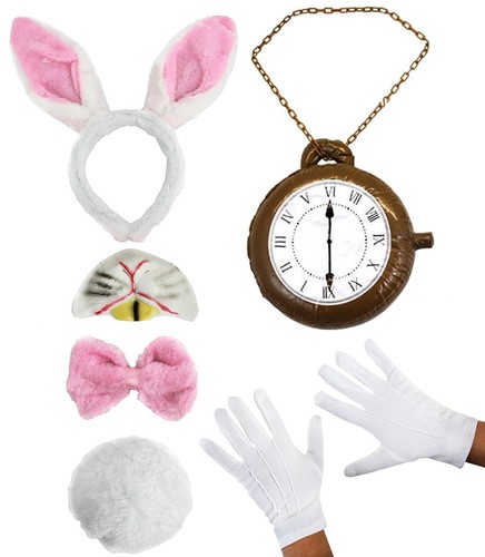 Kids white rabbit - rabbit, book