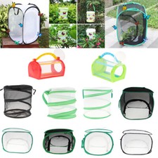 Butterfly habitat terrarium - habitat,