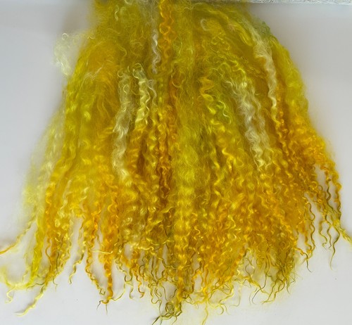 42gm teeswater super long - 42gm,