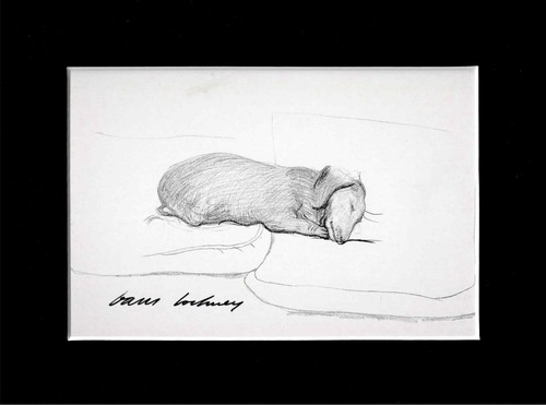 David hockney signed postcard - hockney,