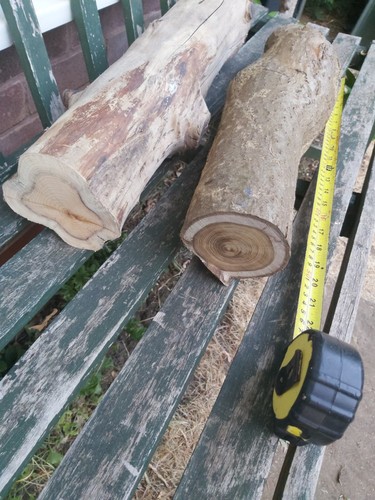 Hardwood log yew - log, laburnum