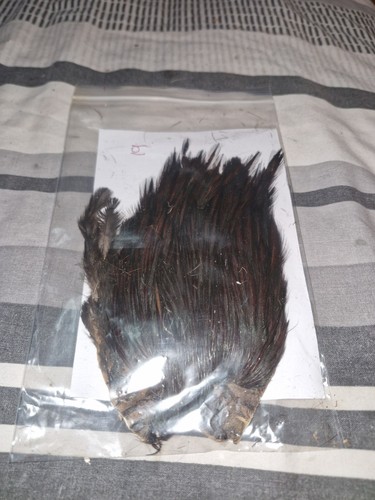 Cock cape fly - cape,fly, tying
