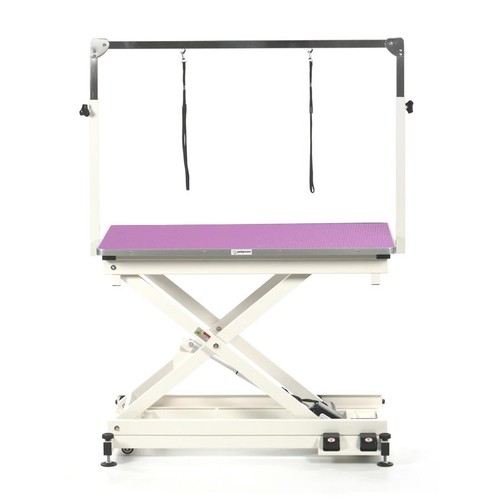 Pedigroom professional