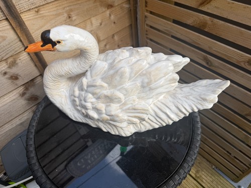 Large white swan - white,