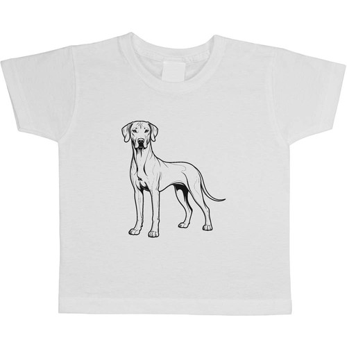 Rhodesian ridgeback dog - ridgeback, dog'