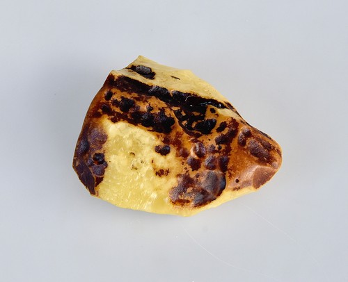 Baltic raw amber - baltic,