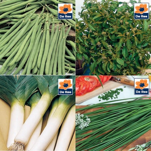 Vegetable seeds carrot pea - uk,
