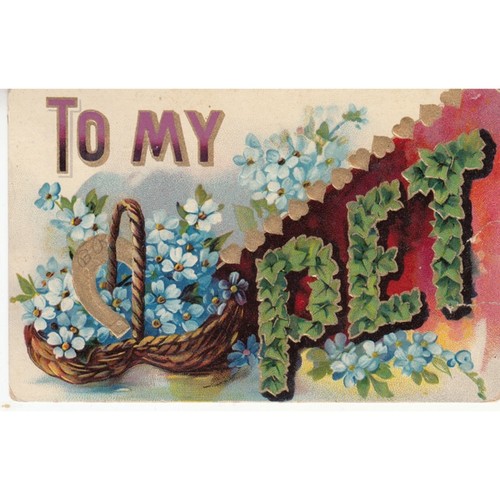 1909 pet postcard - to,
